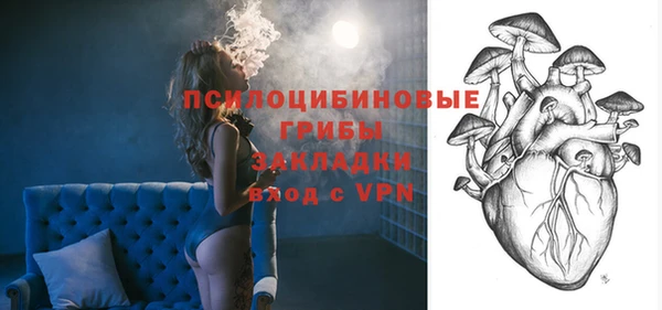 дмт Дмитриев