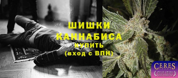 Альфа ПВП Дмитровск