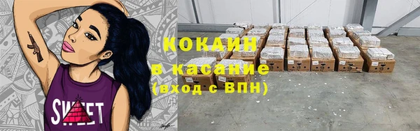 дмт Дмитриев
